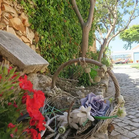 Valmar - Happy Holidays (adults Only) Maison d'hôtes